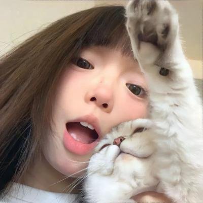 团子大家族第一季